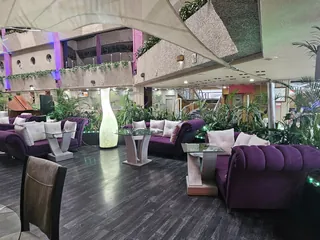 Zona de estar del bar, con las lámparas de pie encendidas entre las plantas